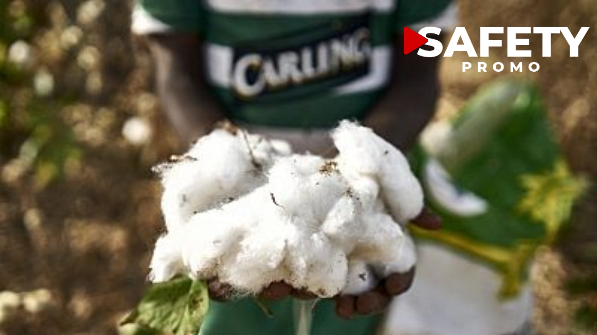 Le Bénin désormais premier producteur de coton en Afrique
