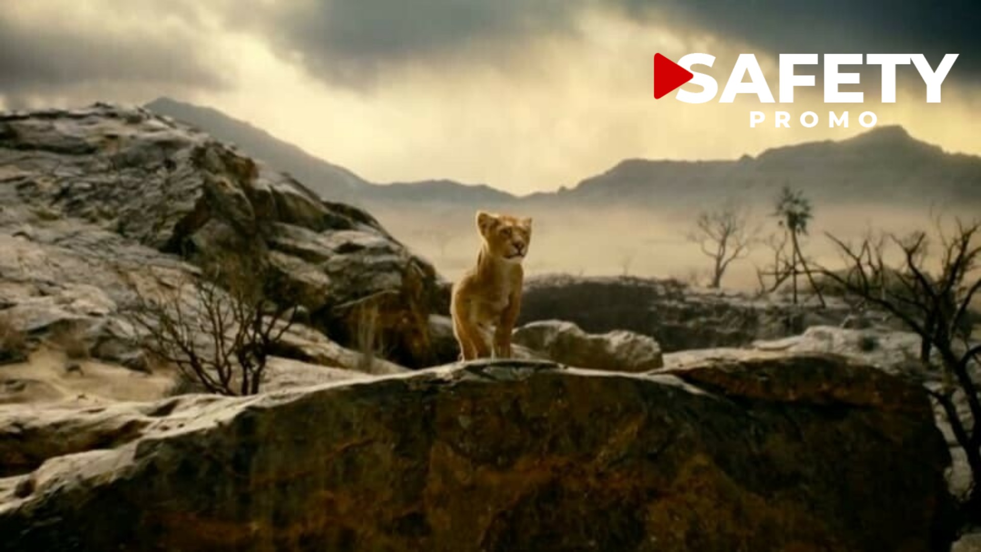 Première apparence de Mufasa dans le préquel en live-action du "Roi Lion"